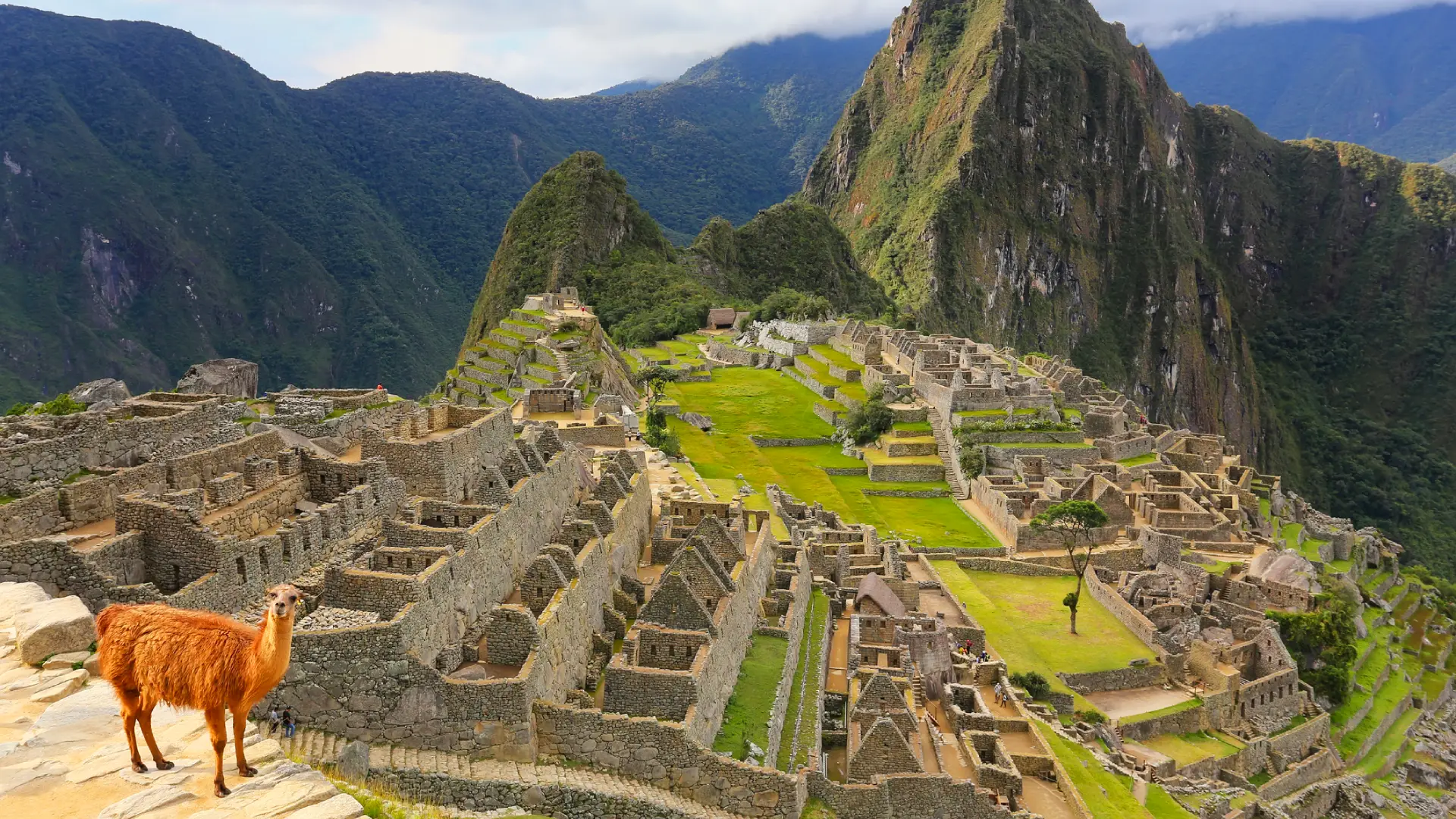 Machu Picchu Full Day