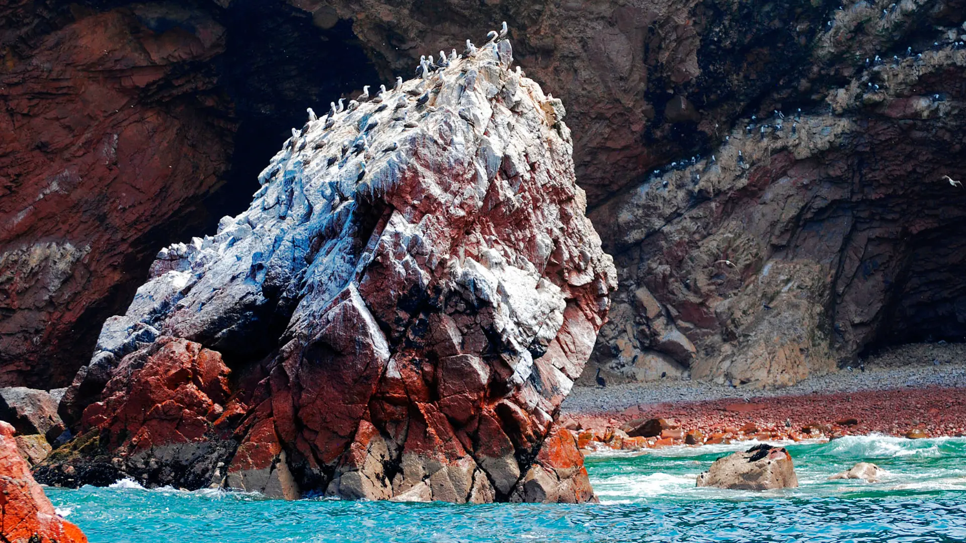 Full-Day Tour: Paracas, Ica, and Huacachina